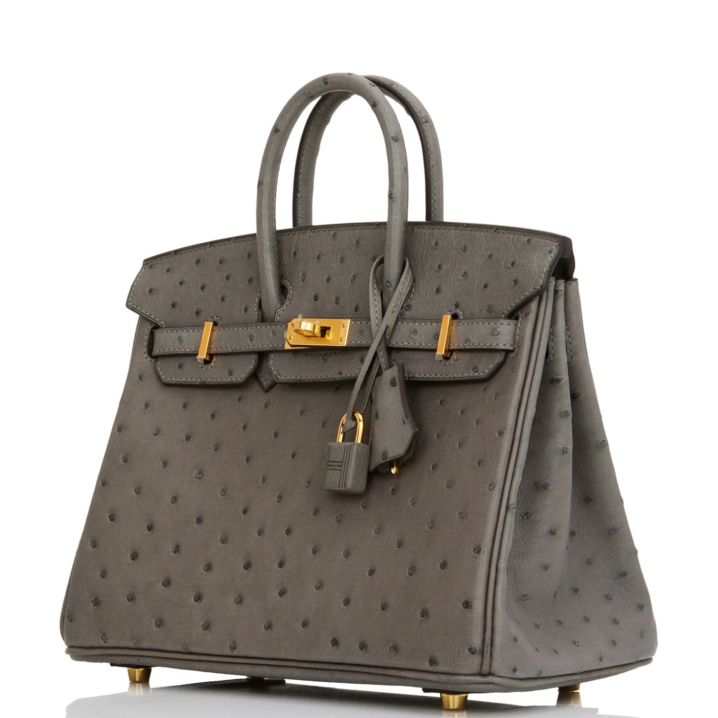 Hermes Birkin 25 Gris Meyer Ostrich Gold Hardware