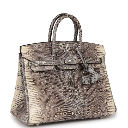 Hermes Birkin 25 Ombre Shiny Salvator Lizard Palladium Hardware