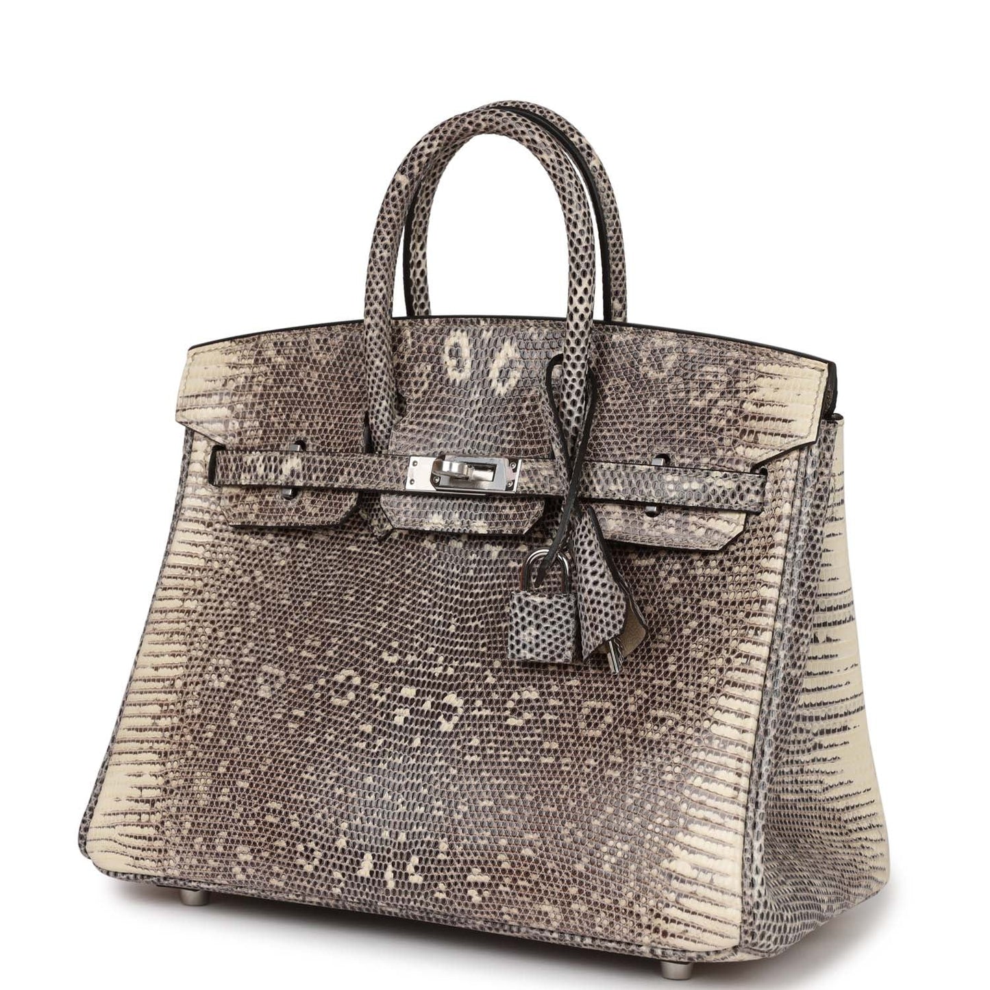 Hermes Birkin 25 Ombre Shiny Salvator Lizard Palladium Hardware