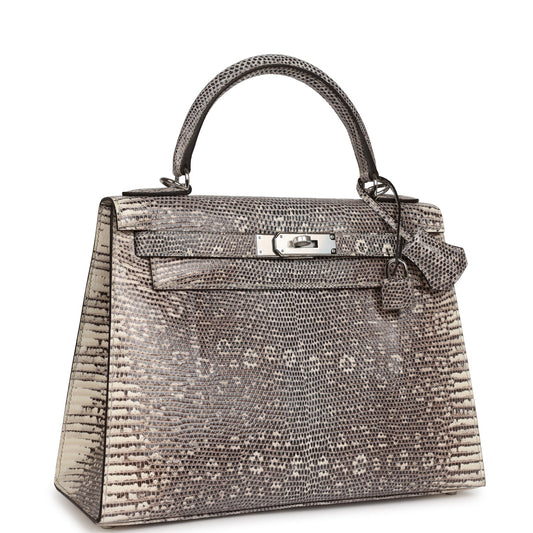 Hermes Kelly Sellier 28 Ombre Varanus Salvator Lizard Palladium Hardware