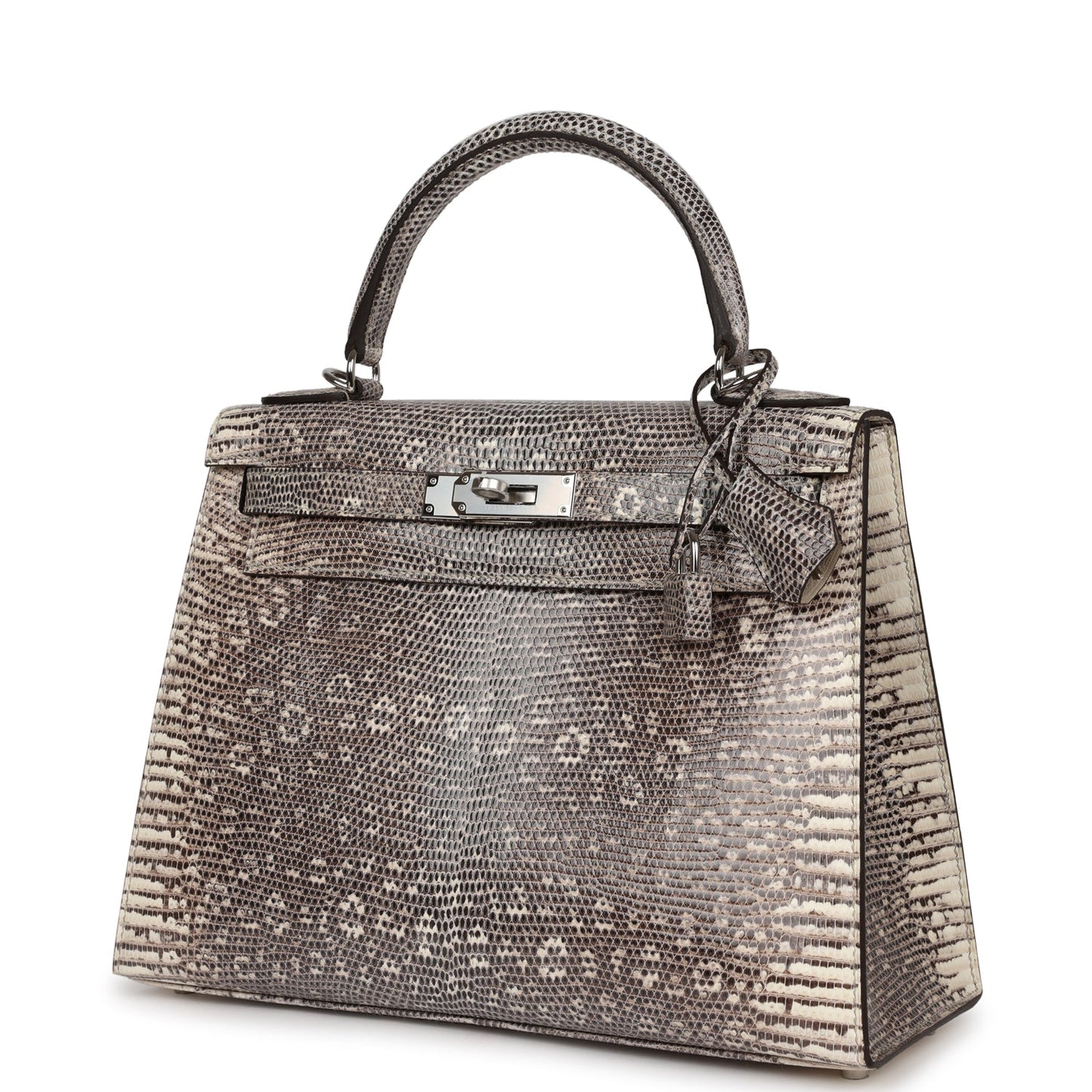 Hermes Kelly Sellier 28 Ombre Varanus Salvator Lizard Palladium Hardware