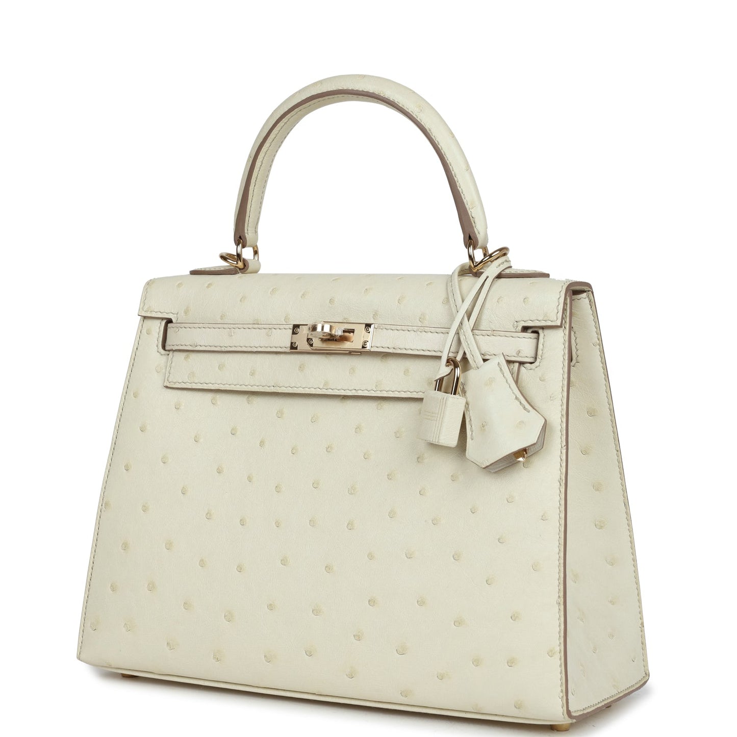 Hermes Kelly Sellier 25 Nata Verso Ostrich Permabrass Hardware