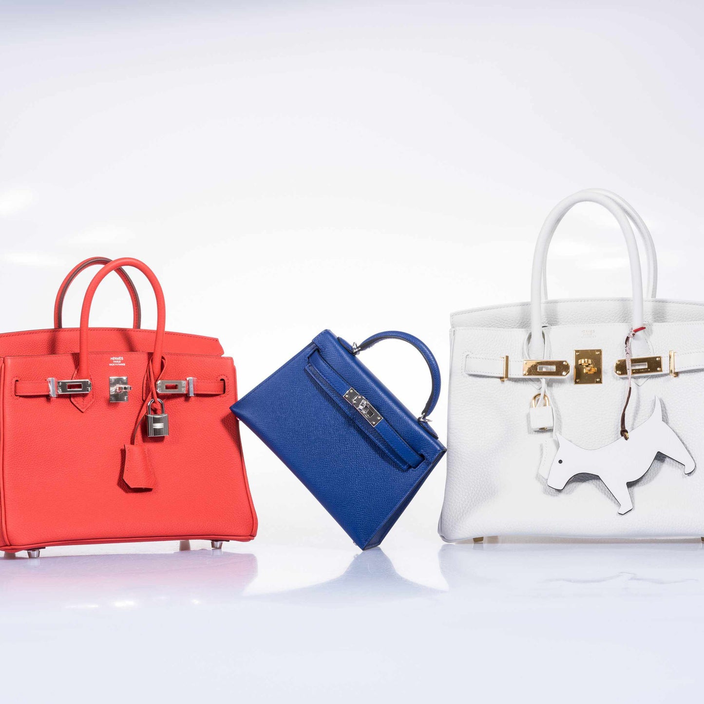 Hermes Birkin 25 Capucine Togo Palladium Hardware