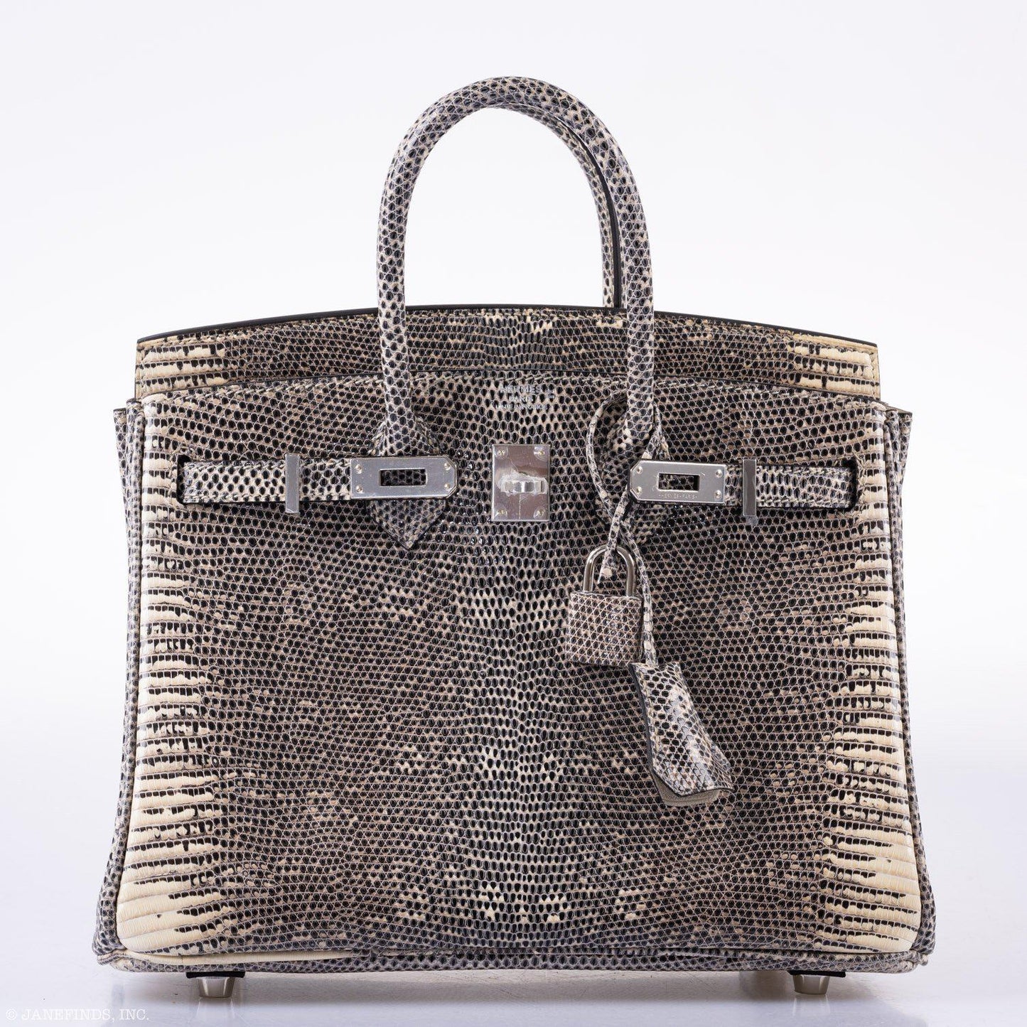 Hermes Birkin 25 Ombre Lizard Palladium Hardware