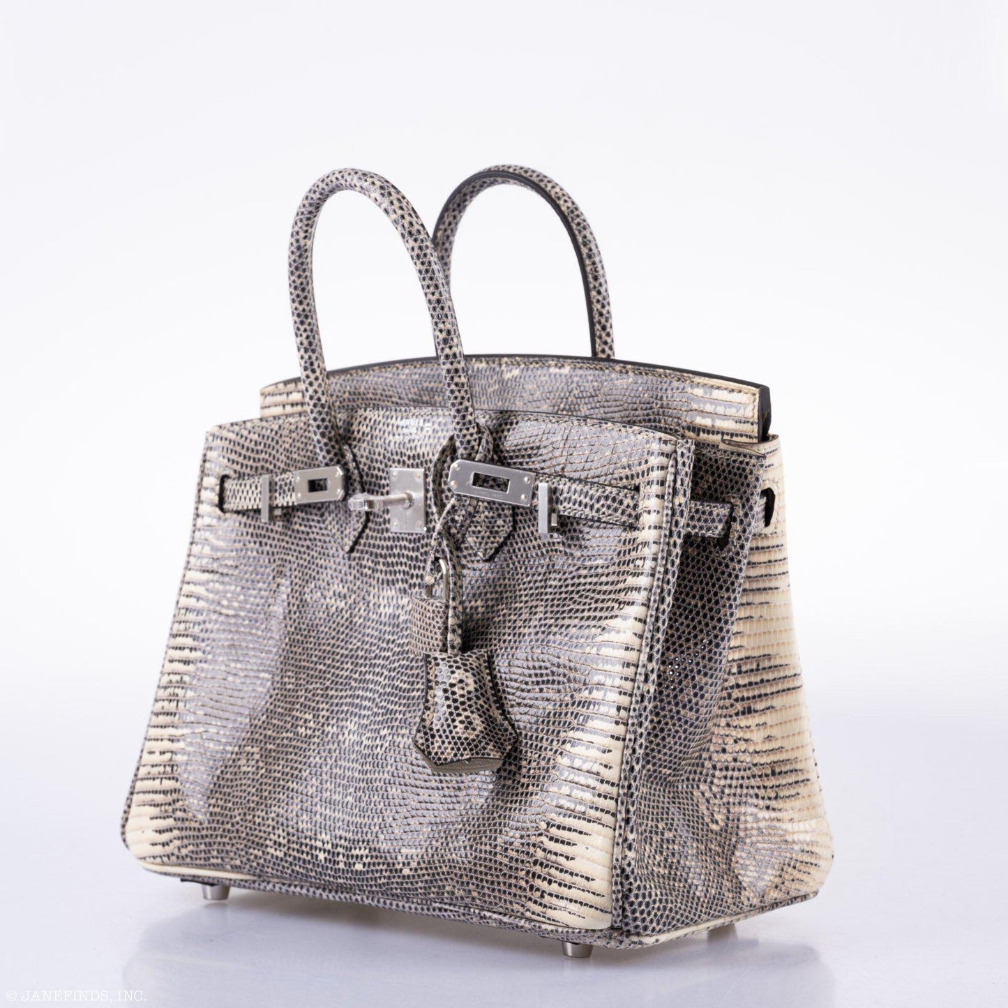 Hermes Birkin 25 Ombre Lizard Palladium Hardware