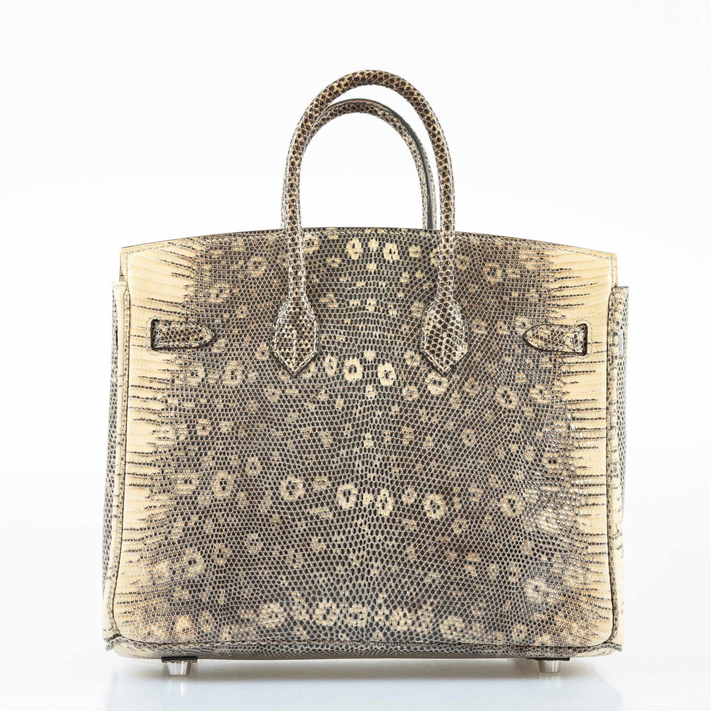 Hermes Birkin 25 Ombre Lizard Palladium Hardware - Rare