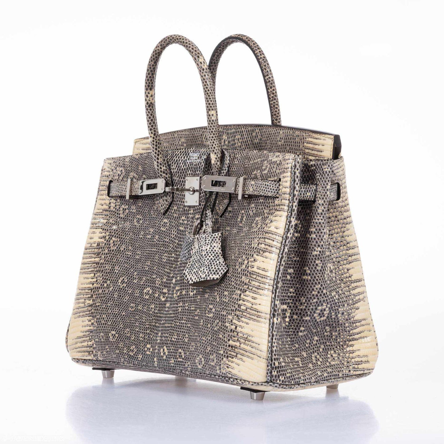 Hermes Birkin 25 Ombre Lizard Palladium Hardware - Very Rare