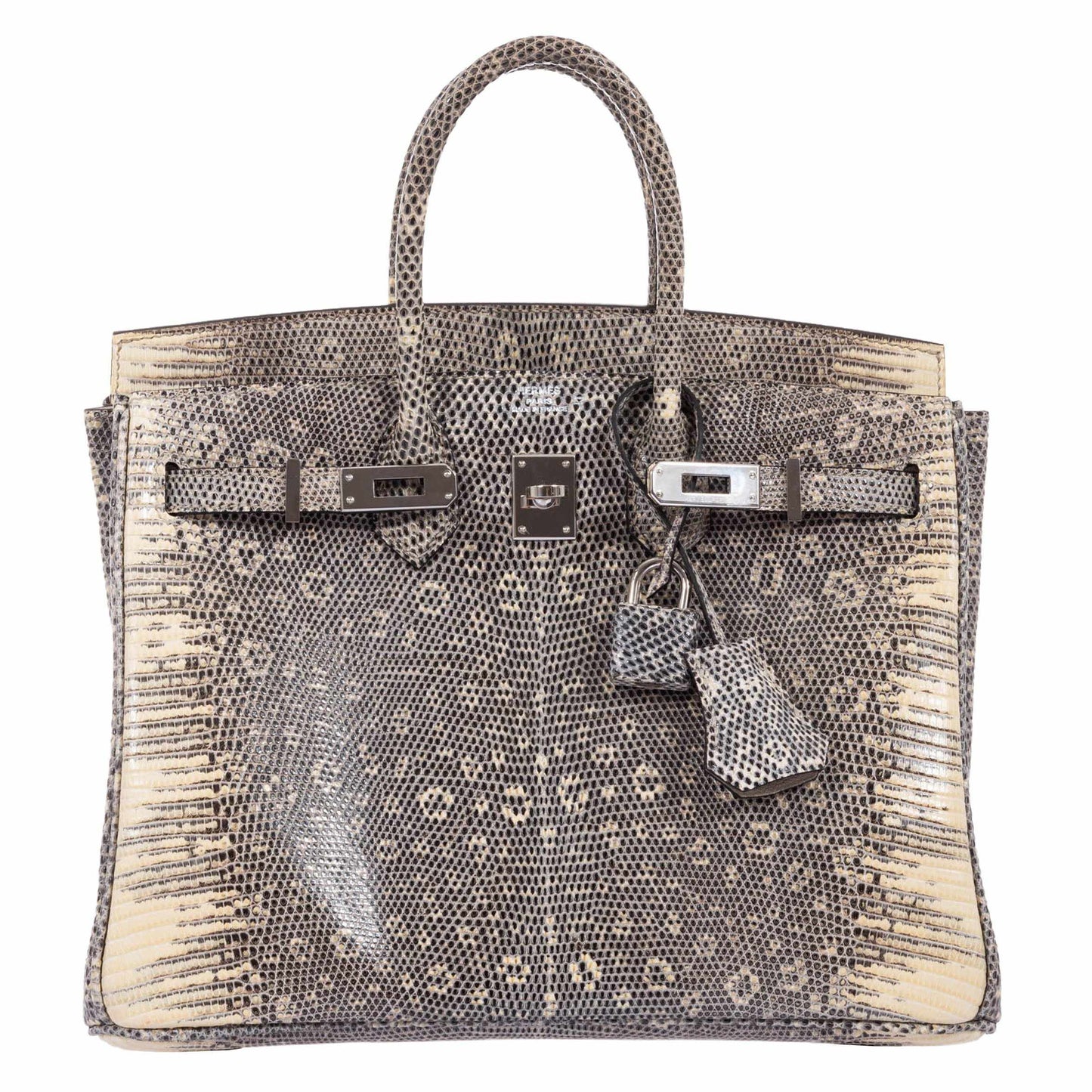 Hermes Birkin 25 Ombre Lizard Palladium Hardware - Very Rare