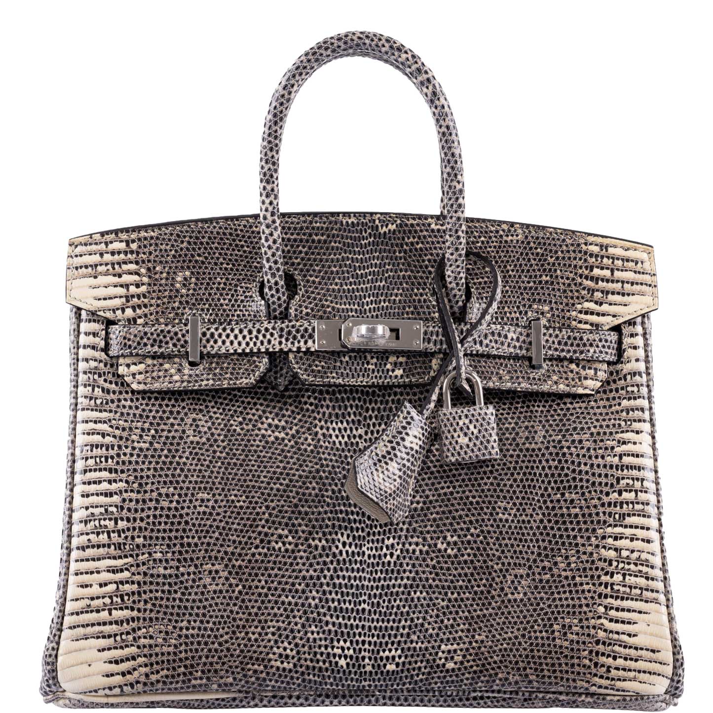 Hermes Birkin 25 Ombre Lizard Palladium Hardware