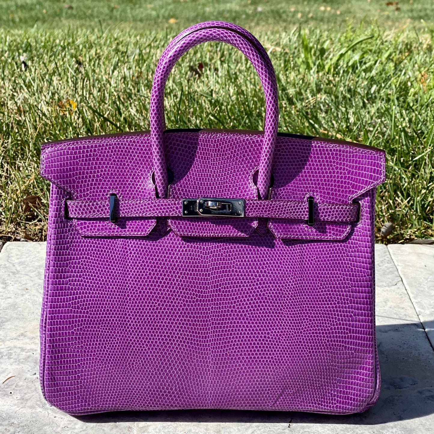 Hermes Birkin 25 Violet Lizard Ruthenium Hardware - 2006