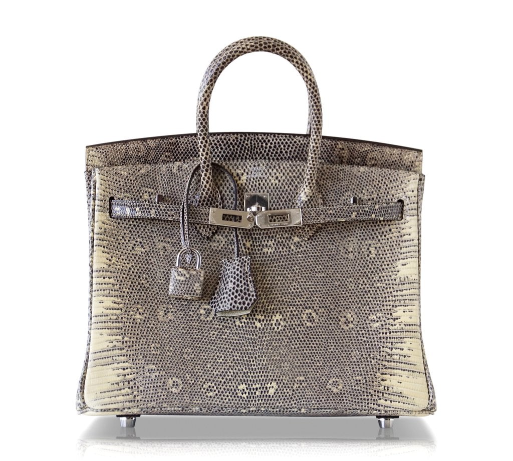 Hermes Birkin 25 Bag Ombre Lizard PHW