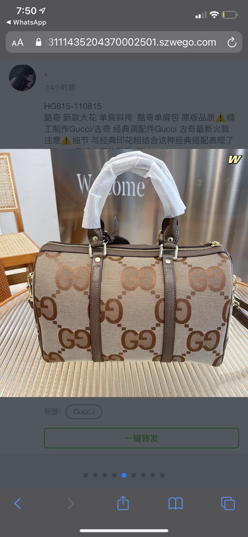 GUCCI woman Handbag