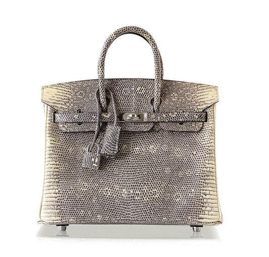 Hermes Birkin 25 Ombre Lizard Bag PHW